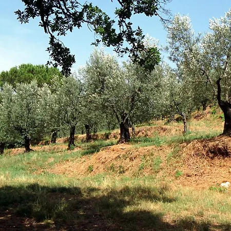 Le Capanne Villa *